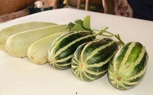 网红瓜免费吃,美食狂欢等你来！