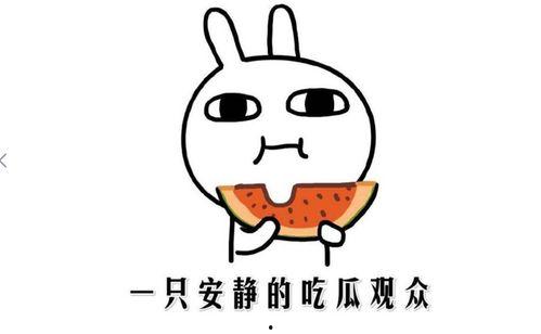 热门网红吃瓜网站,热门事件背后的真相与笑料