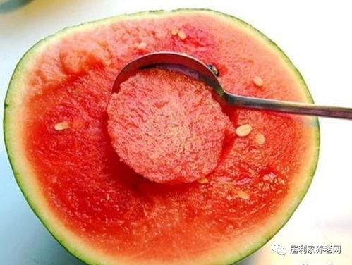 什么社的网红吃瓜网站,热门事件背后的真相与笑料