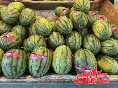 七色坊吃瓜大赛官网,一场全民参与的夏日狂欢盛宴