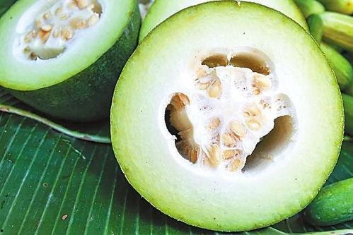 吃瓜料网,吃瓜料网带你领略明星幕后故事