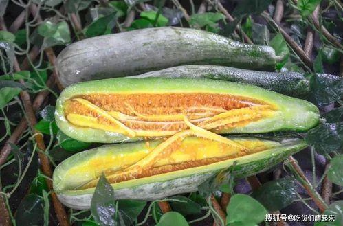 武都网红吃瓜事件真相是真的吗,真相揭秘，还原事件始末