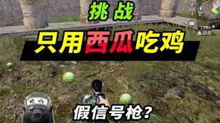 吃瓜官网战,揭秘娱乐圈幕后真相，带你走进明星生活