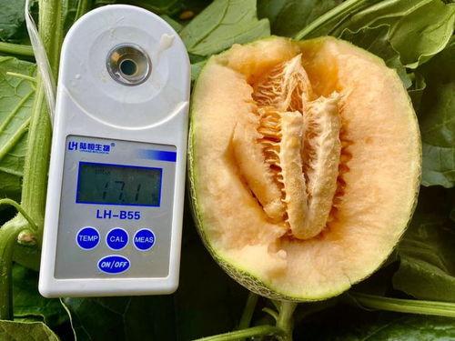 网红最全吃瓜合集,盘点年度最热话题合集