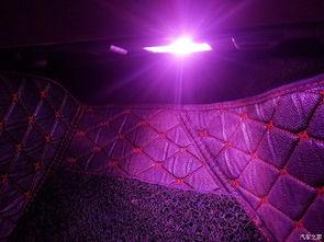 吃瓜网红紫色氛围灯