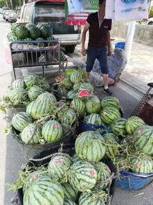 濮阳网红吃瓜事件视频