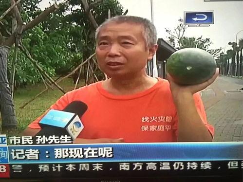 网红吃瓜最新热点事件,揭秘最新热点事件背后的真相与争议