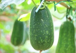 吃瓜网今日吃瓜 热,揭秘娱乐圈最新热点事件