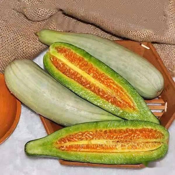 吃瓜网j4k.c,带你走进神秘的网络世界