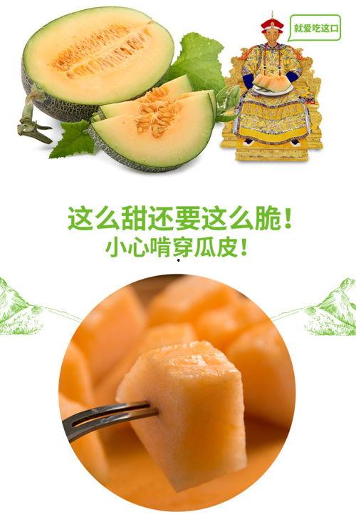 免费吃瓜官网推荐,盘点热门瓜田，带你畅游娱乐盛宴