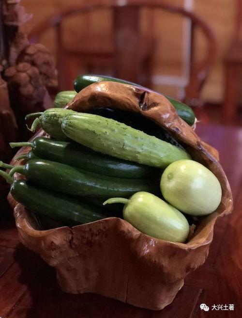 全网都在吃陇南网红的瓜,陇南网红瓜，揭秘背后的故事与真相