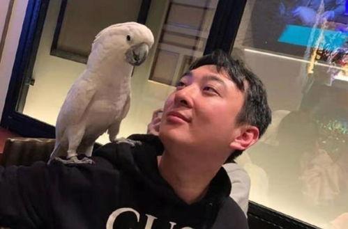 网红吃瓜王思聪视频,揭秘娱乐圈背后的秘密