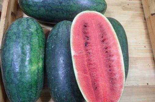 黑瓜吃料网怎么了