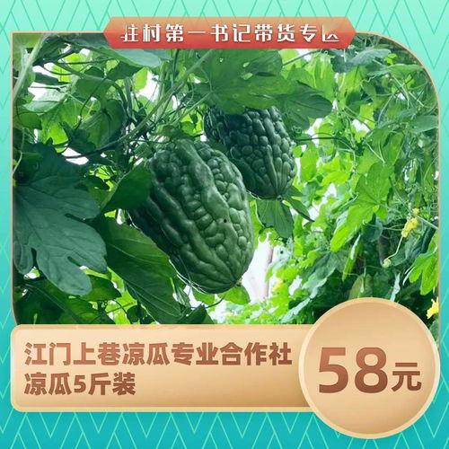 吃瓜网山东村书记,吃瓜群众眼中的基层风云人物