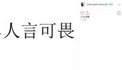四个字网红吃瓜视频,揭秘娱乐圈幕后风云